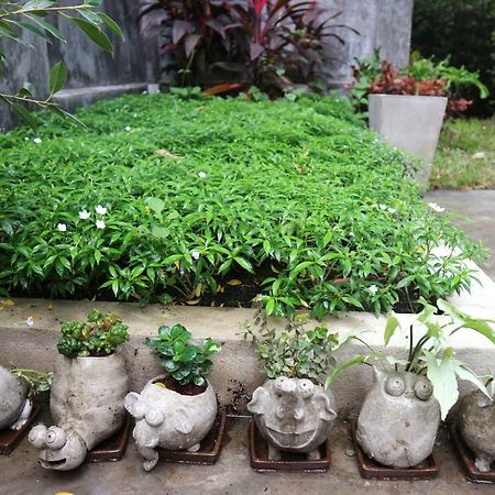 Maya Bed And Food Hostel Chiang Mai Ngoại thất bức ảnh